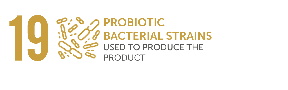 19 szczepów bakterii probiotycznych