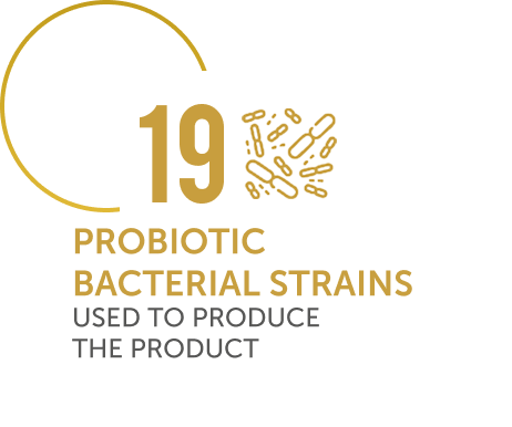 19 szczepów bakterii probiotycznych